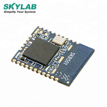 SKYLAB Nordic nRF52840 Bluetooth 5.0 module Bluetooth low Energy for BLE Mesh